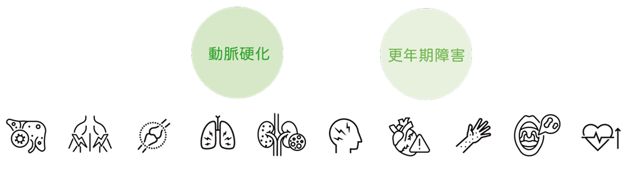 動脈硬化と更年期障害・その他臓器への効果